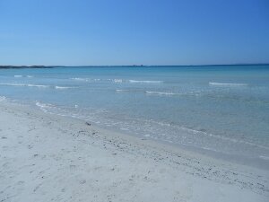 DSCN3498 300x225