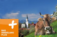 mehr Infos